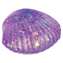 2.25" Squeezy Sugar Sea Shell - LLB Toys