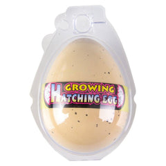 2.5" GROWING TURTLE EGG LLB kids toys