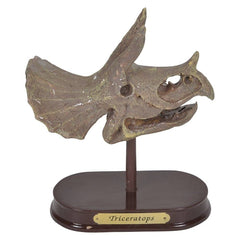 6.5" TRICERATOPS SKULL EXCAVATION LLB kids toys