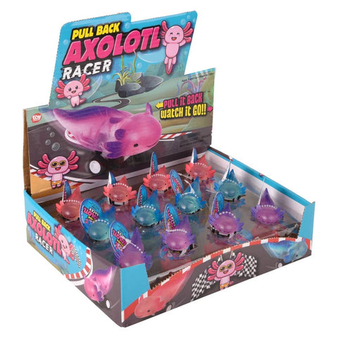 2.5" Pull Back Axolotl 24ct- LLB Toys