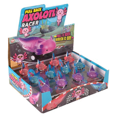 2.5" Pull Back Axolotl 24ct- LLB Toys