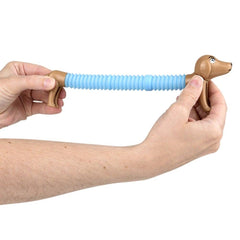 5.5" DACHSHUND FIDGET POP TUBE LLB Fidget Toys