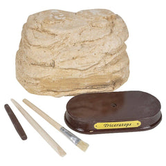 6.5" TRICERATOPS SKULL EXCAVATION LLB kids toys