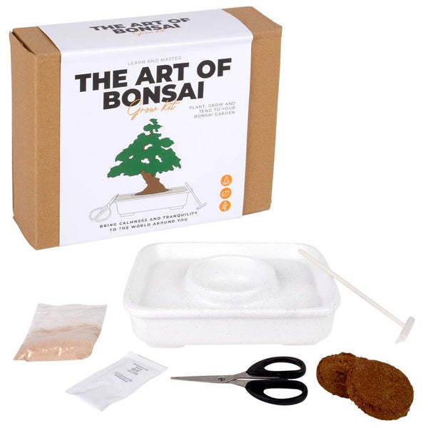 The Art Of Bonsai Grow Kit - LLB Toys