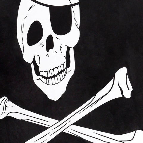 3'x 5' PIRATE SKULL FLAG LLB kids toys