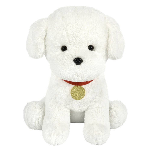 18" Teacup Maltese / Morkie