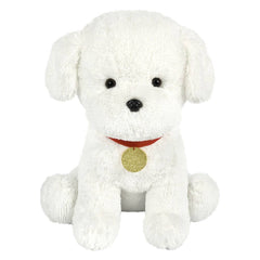 18" Teacup Maltese / Morkie