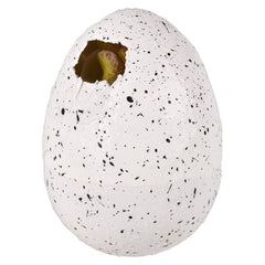 Giant Hatch And Grow Dino - LLB Toys