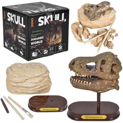 6.5" T-REX SKULL EXCAVATION LLB kids toys