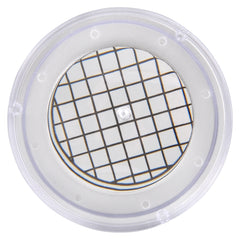 Magnifying Bug Viewer 3.5" - LLB Toys