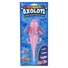 9" Growing Axolotl