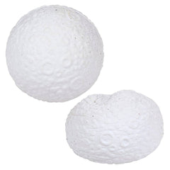 2.75" SQUISH MOON LLB Squishy Toys