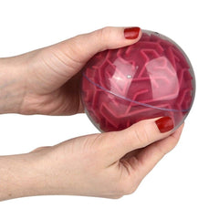 Maze Ball Asmt LLB kids toys