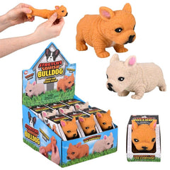 3.5" STRETCHY, SQUISH BULLDOG LLB Squishy Toys