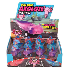 2.5" Pull Back Axolotl 24ct- LLB Toys