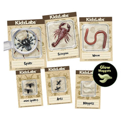 KidzLabs /Halloween Creepy Crawly Digging Lab