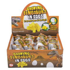 3" GROWING DINOSAUR EGG LLB kids toys
