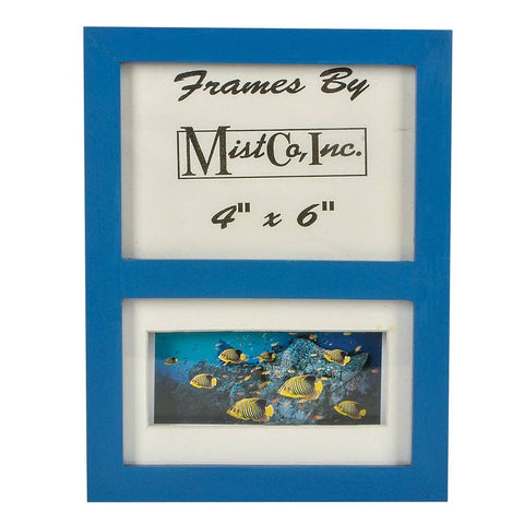 4"X6" SARGEANT MAJOR FISH FRAME LLB kids toys