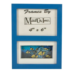 4"X6" SARGEANT MAJOR FISH FRAME LLB kids toys