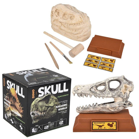 6.5" VELOCIRAPTOR SKULL EXCAVATION LLB kids toys
