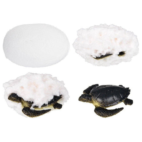 3" AQUATIC FIZZY EGG (24PC/UN) LLB kids toys