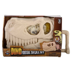 10" Dinosaur Fossil Skull Set 5ct - LLB Toys