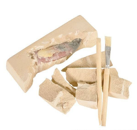 DINOSAUR TEETH EXCAVATION KIT LLB kids toys