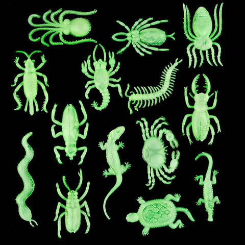 GLOW IN DARK INSECTS AND REPTILES LLB Light-up Toys