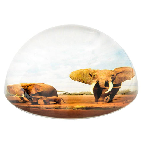80 MM DOME PAPERWEIGHT ELEPHANT FAMILY LLB kids toys