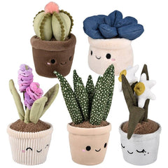 Plush Succulent Assortment -LLB Toys
