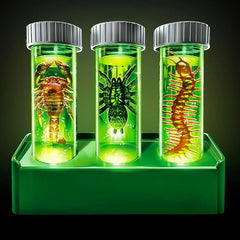 KidzLabs /Halloween Creepy Crawly Digging Lab