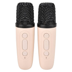 Wireless Karaoke Dual Mic Speaker - LLB Toys