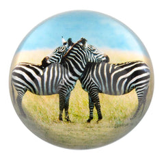 80 MM DOME PAPERWEIGHT 2 ZEBRAS LLB kids toys
