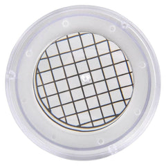 Magnifying Bug Viewer 3.5" - LLB Toys