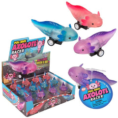 2.5" Pull Back Axolotl 24ct- LLB Toys