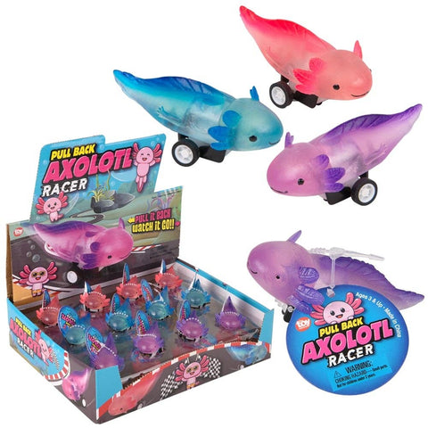 2.5" Pull Back Axolotl 24ct- LLB Toys