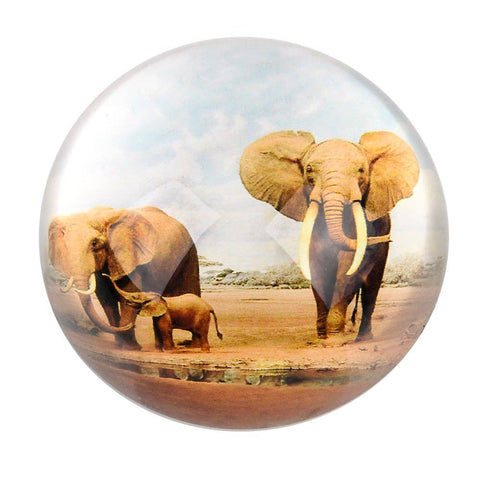 80 MM DOME PAPERWEIGHT ELEPHANT FAMILY LLB kids toys