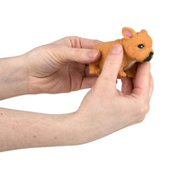 3.5" STRETCHY, SQUISH BULLDOG LLB Squishy Toys