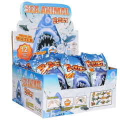 3" AQUATIC FIZZY EGG (24PC/UN) LLB kids toys