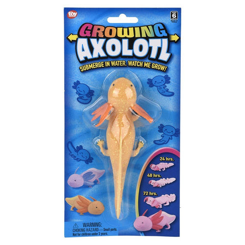 6" Growing Axolotl