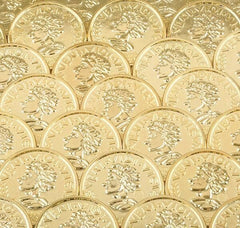 GOLD COIN LLB Kids Toy