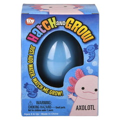 Small Hatch and Grow Axolotl Egg 2.5" Novelty Toy - LLB Toys