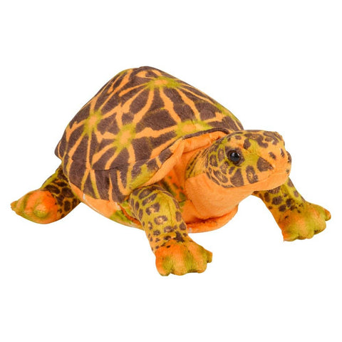 11" BOX TURTLE plush LLB Plush Toys