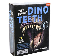 DINOSAUR TEETH EXCAVATION KIT LLB kids toys