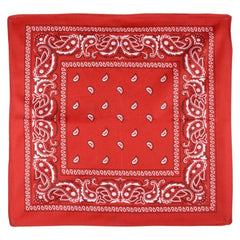 BANDANA ASSORTMENT 19" LLB kids toys
