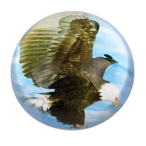 80 MM DOME PAPERWEIGHT EAGLE LLB kids toys