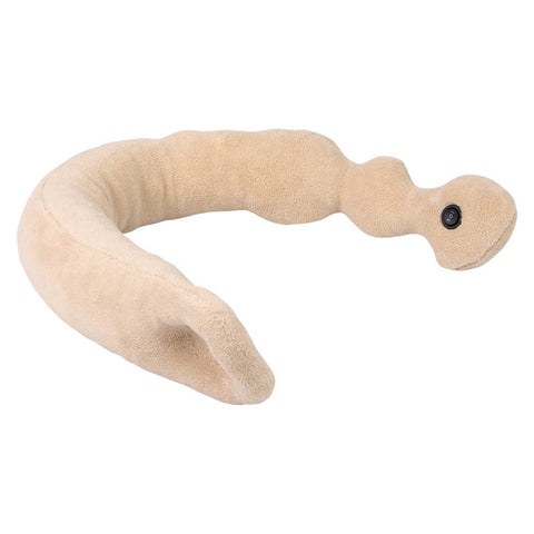 Massage Memory Foam Stick 6.5" - LLB Toys