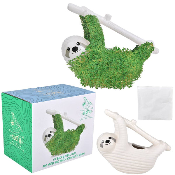 Sloth Plater - LLB Toys