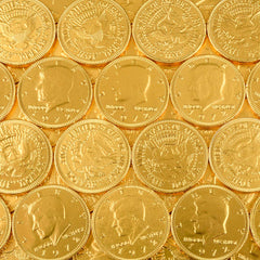 FORT KNOX GOLD COINS LLB kids toys